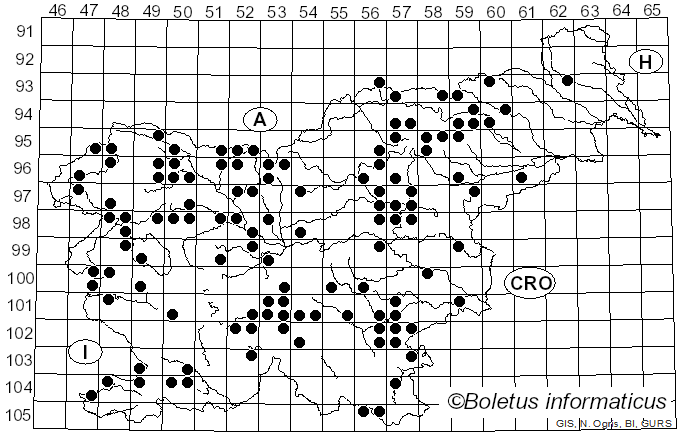 <i>Panaeolus</i> (Fr.) Quél. (1872)