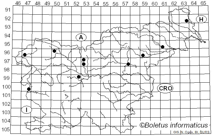 <i>Dasyscyphus</i> Nees ex Gray (1821)