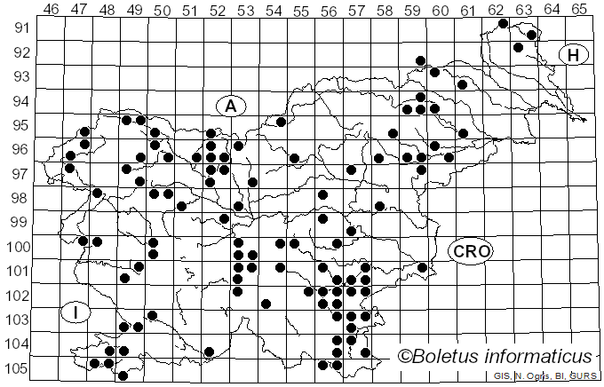 <i>Suillellus</i> Murrill (1909)
