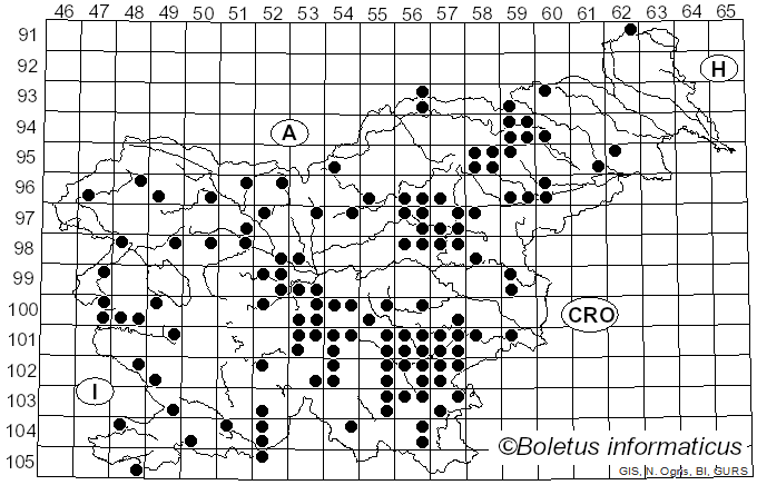 <i>Rubroboletus rhodoxanthus</i> (Krombh.) Kuan Zhao & Zhu L. Yang (2014)