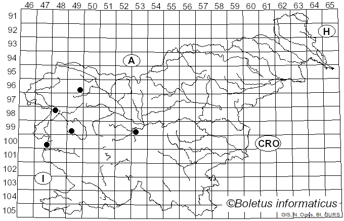 <i>Lyophyllum paelochroum</i> Clémençon (1982)