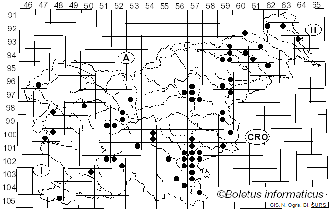 <i>Psathyrella spadiceogrisea</i> (Schaeff.) Maire (1937)
