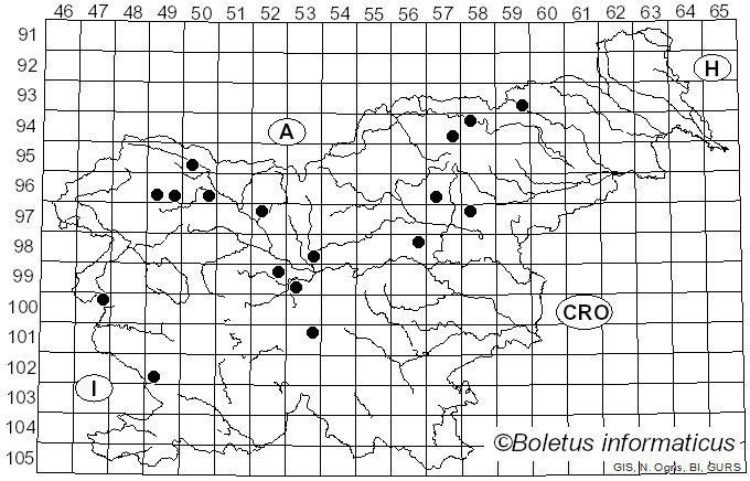 <i>Hygrocybe fornicata</i> (Fr.) Singer (1951)