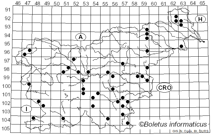 <i>Calvatia gigantea</i> (Batsch) Lloyd (1904)