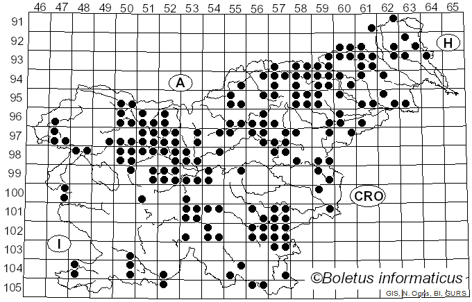 <i>Strobilomyces strobilaceus</i> (Scop.) Berk. (1860)