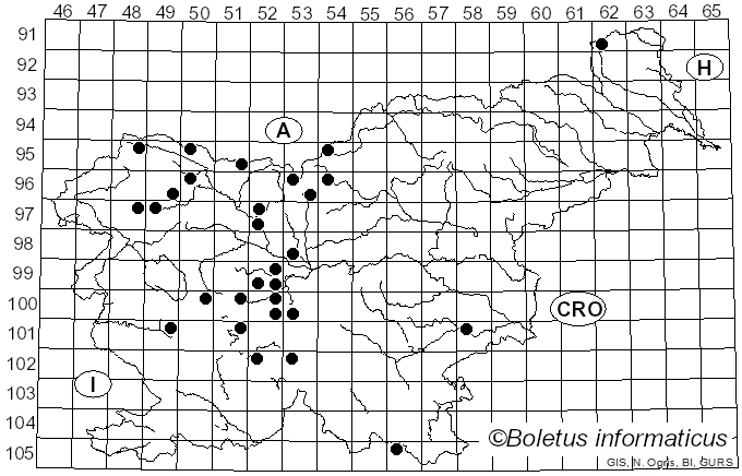<i>Xylota</i> Meigen (1822)