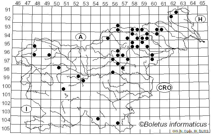<i>Russula adulterina</i> Secr.