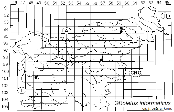 <i>Conocybe brunneola</i> Kühner ex Kühner & Watling (1982)