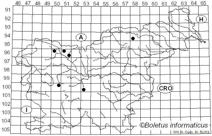 <i>Rutstroemia elatina</i> (Alb. & Schwein.) Rehm (1893)