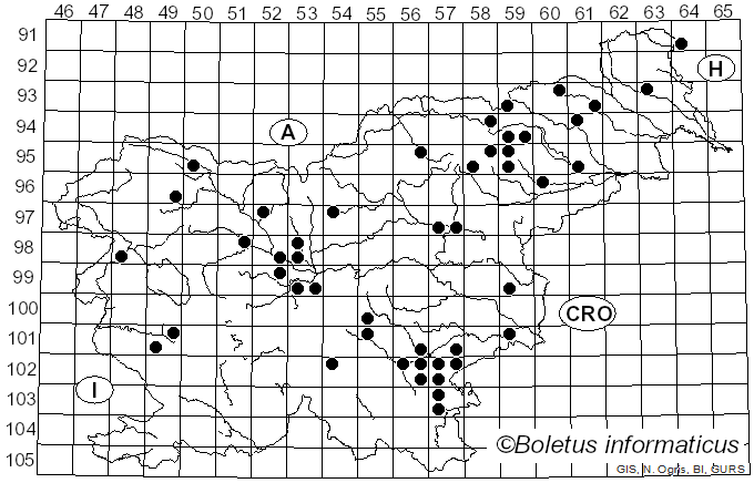 <i>Russula velenovskyi</i> Melzer & Zvára (1927)