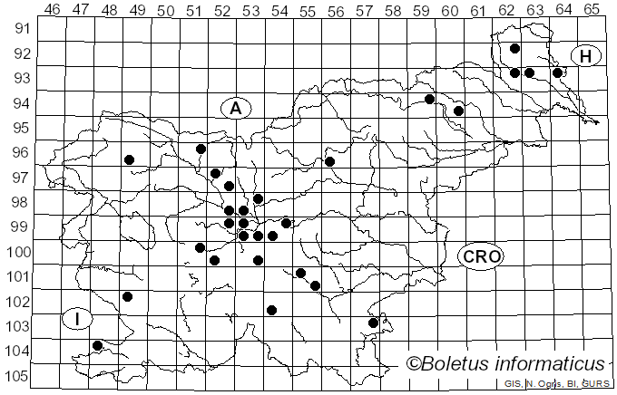 <i>Clitocybe incilis</i> (Fr.) Gillet (1874)