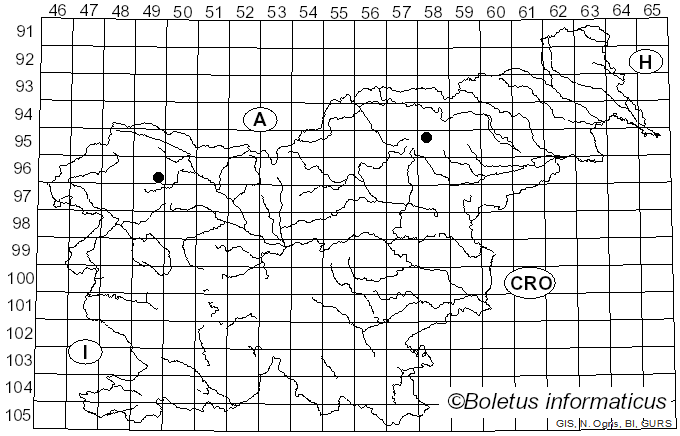 <i>Chrysomphalina grossula</i> (Pers.) Norvell, Redhead & Ammirati (1994)