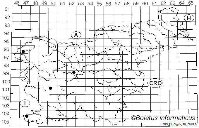 <i>Xylaria digitata</i> (L.) Grev. (1825)