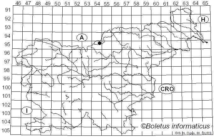 <i>Usnea carpatica</i> Motyka (1930)