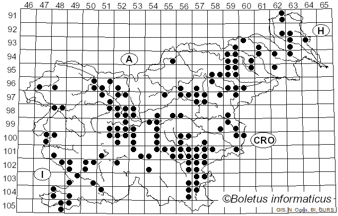 <i>Fistulina hepatica</i> (Schaeff.) With. (1792)