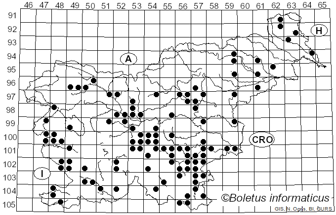 <i>Lactarius zonarius</i> (Bull.) Fr. (1838)