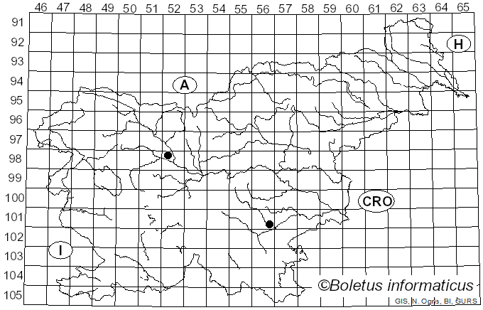<i>Hydnellum velutinum</i> (Fr.) P. Karst. (1880)