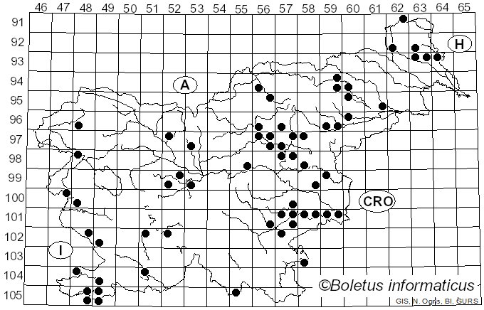 <i>Leccinellum crocipodium</i> (Letell.) Della Magg. & Trassin. (2014)