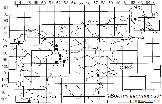 <i>Gymnosporangium sabinae</i> (Dicks.) G. Winter (1884)