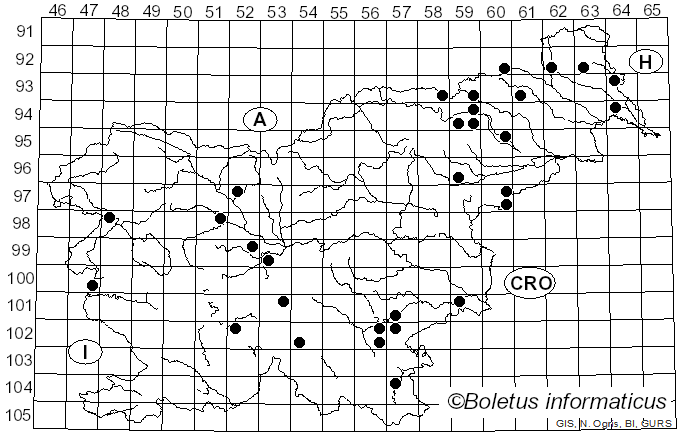 <i>Funalia</i> Pat. (1900)