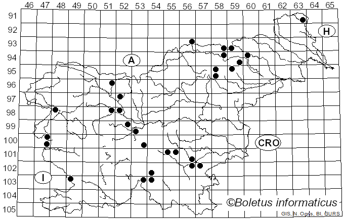 <i>Cortinarius cinnamomeoluteus</i> P.D. Orton (1960)