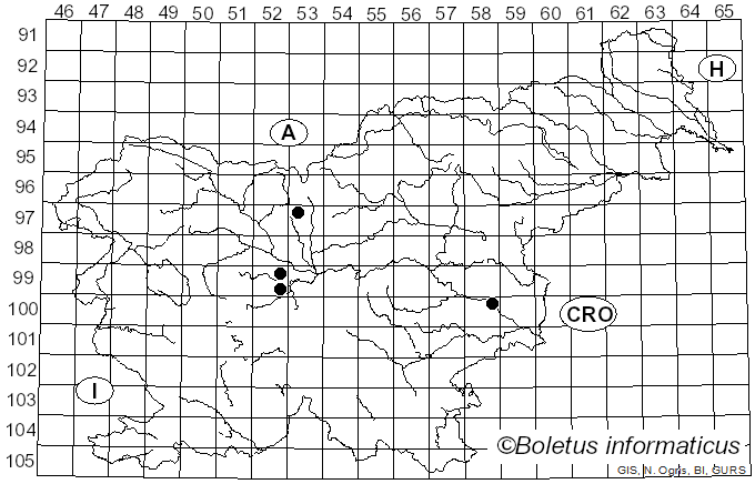 <i>Ustilago utriculosa</i> (Nees) Tul. & C. Tul. (1847)