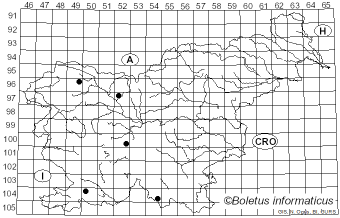 <i>Sarea resinae</i> (Fr.) Kuntze (1898)
