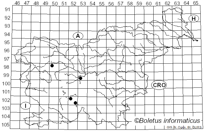 <i>Amylostereum laevigatum</i> (Fr.) Boidin (1958)