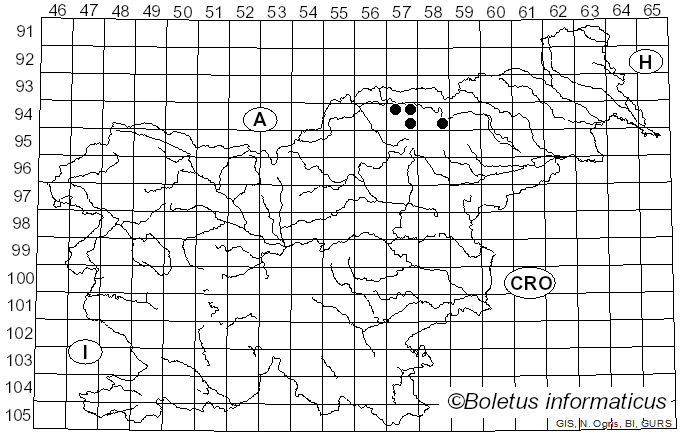 <i>Loxospora cismonica</i> (Beltr.) Hafellner (1987)