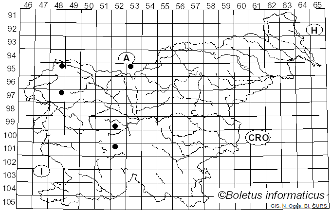<i>Cheilosia longula</i> Zetterstedt