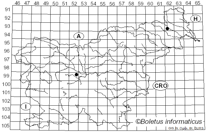 <i>Agaricus lutosus</i> (F.H. Møller) F.H. Møller (1952)