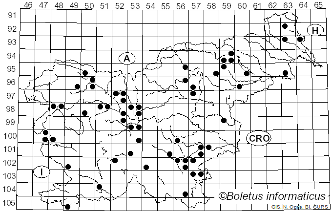 <i>Asterophora lycoperdoides</i> Ditmar (1809)