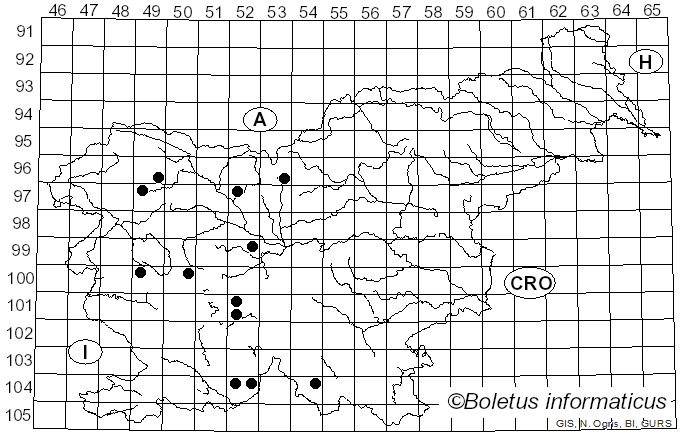 <i>Dasysyrphus</i> Enderlein (1938)