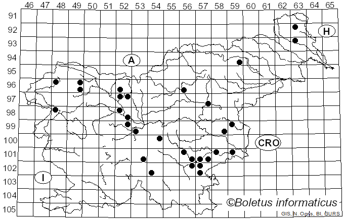 <i>Hydnellum scabrosum</i> (Fr.) E. Larss., K.H. Larss. & Kõljalg (2019)
