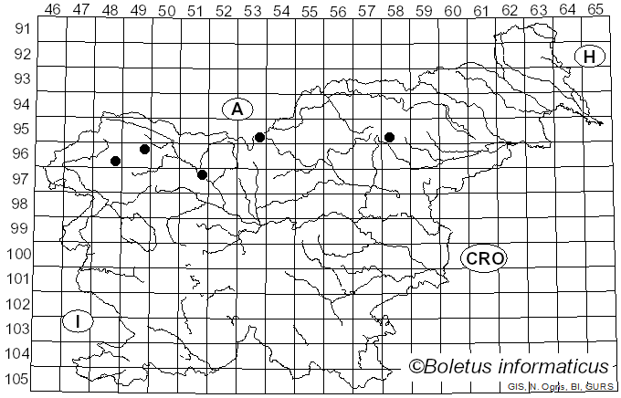 <i>Cladonia gracilis</i> (L.) Willd. (1787)