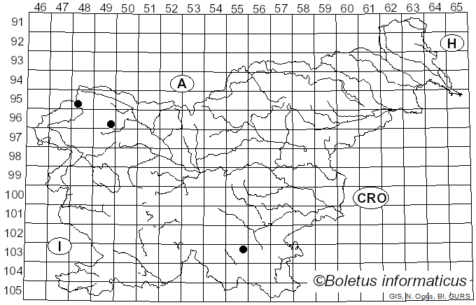 <i>Cladonia rei</i> Schaer. (1823)