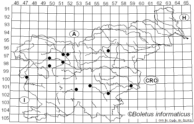 <i>Melanoleuca verrucipes</i> (Fr.) Singer (1939)