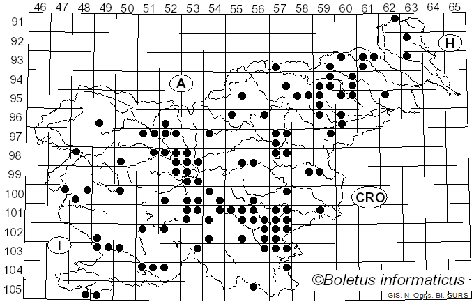 <i>Amanita lividopallescens</i> (Gillet) Bigeard & H. Guill. (1913)