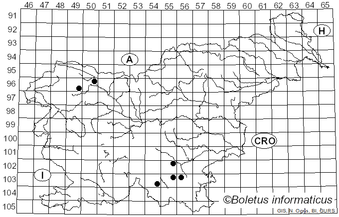 <i>Xylodon asper</i> (Fr.) Hjortstam & Ryvarden (2009)