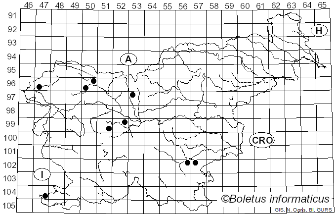 <i>Penicillium</i> Link (1809)