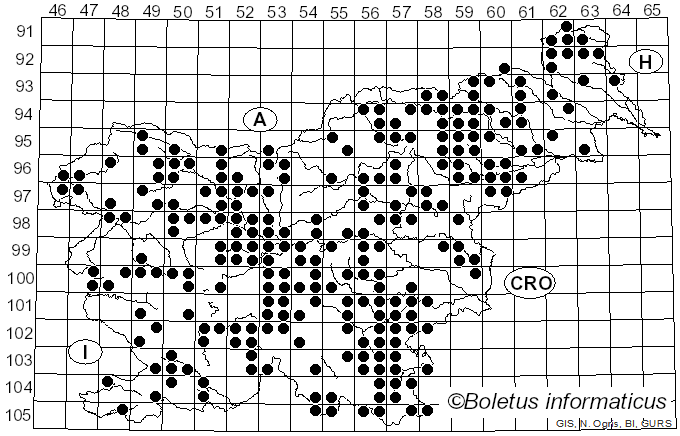 <i>Trametes hirsuta</i> (Wulfen) Lloyd (1924)