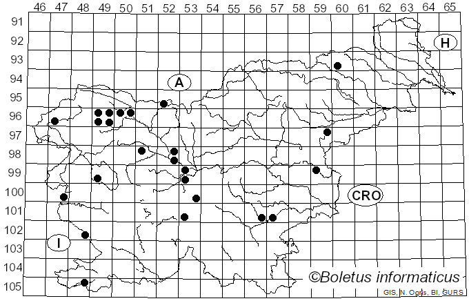 <i>Entoloma incanum</i> (Fr.) Hesler (1967)
