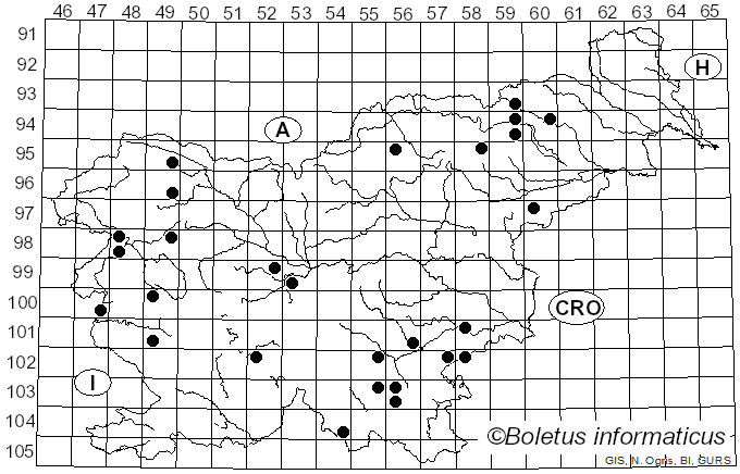 <i>Cylindrobasidium</i> Jülich (1974)