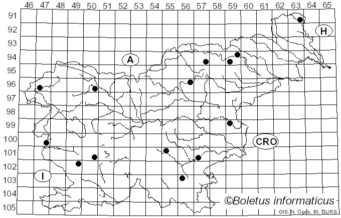 <i>Linopodium filopes</i> (Bull.) Kun L. Yang, Jia Y. Lin & Zhu L. Yang (2025)