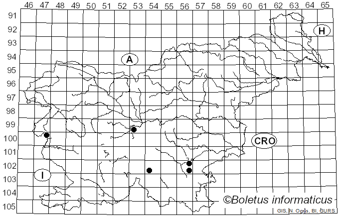 <i>Leucopaxillus rhodoleucus</i> (Romell) Kühner (1926)