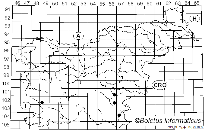 <i>Lulesia fallax</i> (Quél.) T.J. Baroni, N. Niveiro & B.E. Lechner (2023)