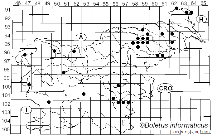 <i>Pseudosperma</i> Matheny & Esteve-Rav. (2019)
