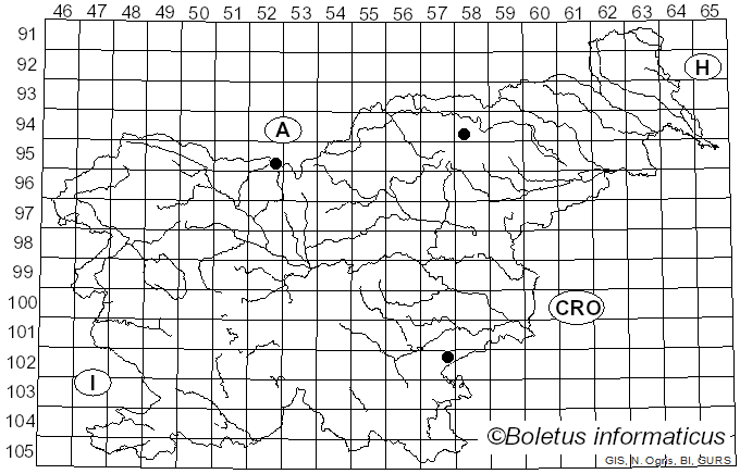 <i>Buchwaldoboletus</i> Pilát (1969)