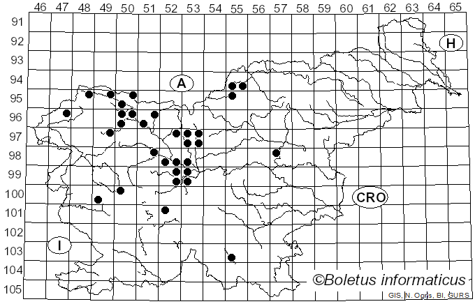 <i>Ramularia</i> Unger (1833)