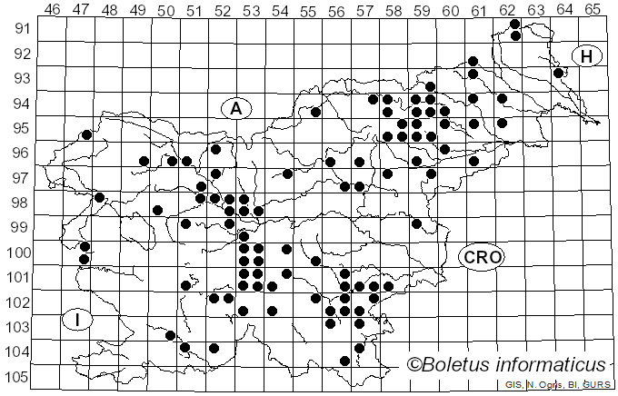<i>Russula cavipes</i> Britzelm. (1893)